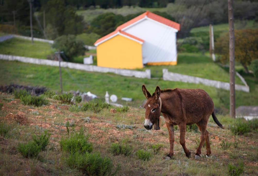 Casa Amado, Aldeia Da Pedralva Villa Vila do Bispo Kültér fotó